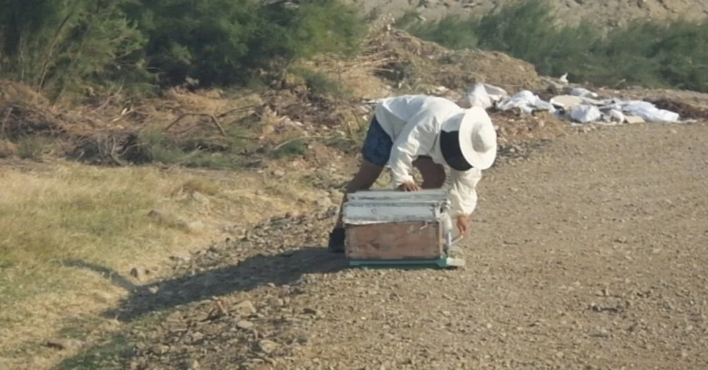 Burhaniye De Çalılık Yangını Büyük Korkuya Neden Oldu