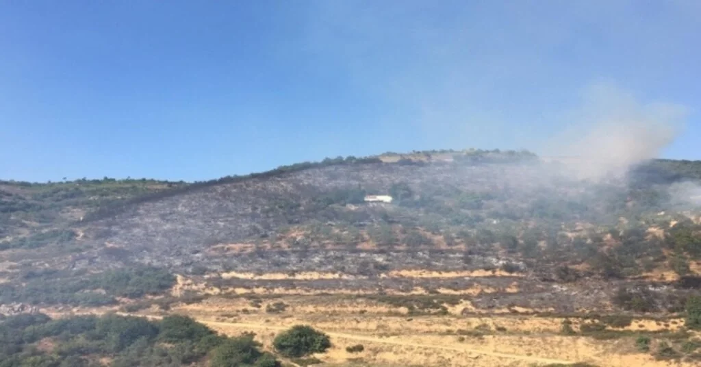 Bursada Korkutan Orman Yangını