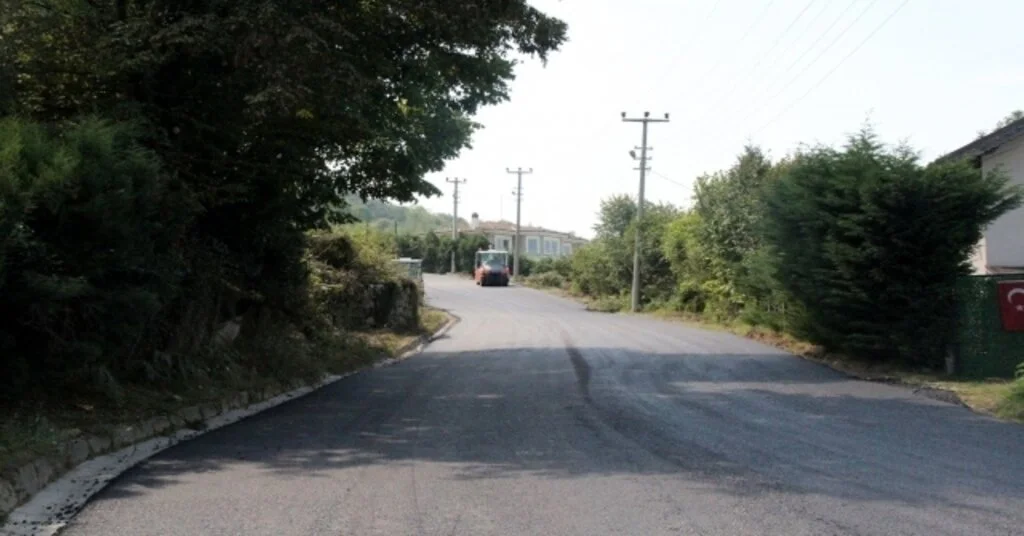 Büyükşehir Asfalt Ekipleri Sapancada