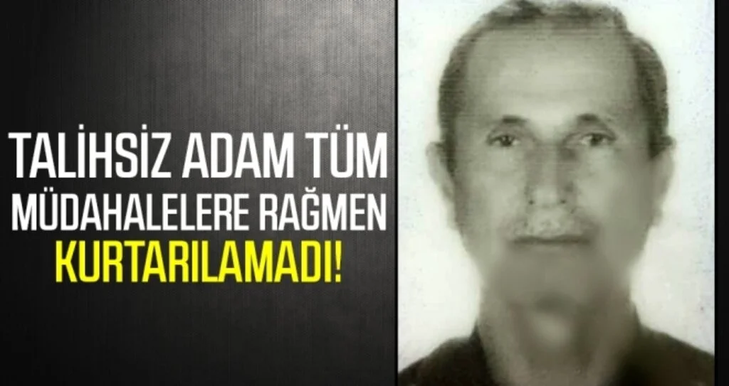 Ceviz ağacından düşen yaşlı adam hayatını kaybetti