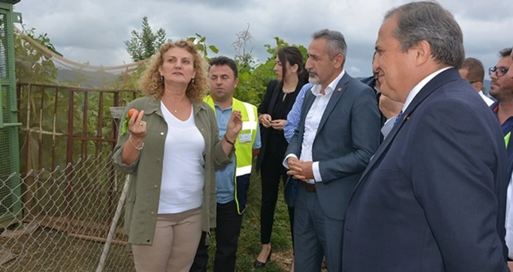 CHP heyeti, Fatsa altın madenini inceledi