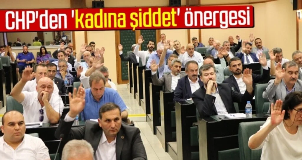 CHP'den 'kadına şiddet' önergesi