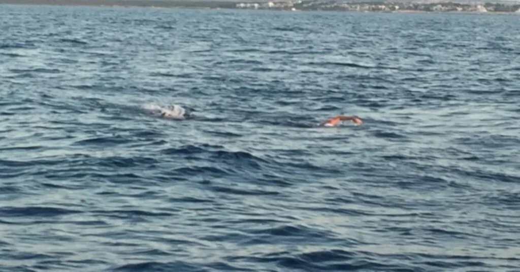 Çocuk İstismarına Dikkat Çekmek İçin 24 Kilometre Kulaç Attılar
