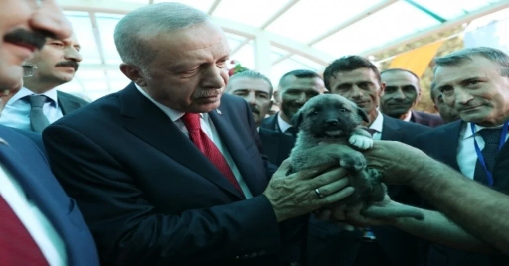 Cumhurbaşkanı Erdoğana Kangal Yavrusu Hediye Edildi