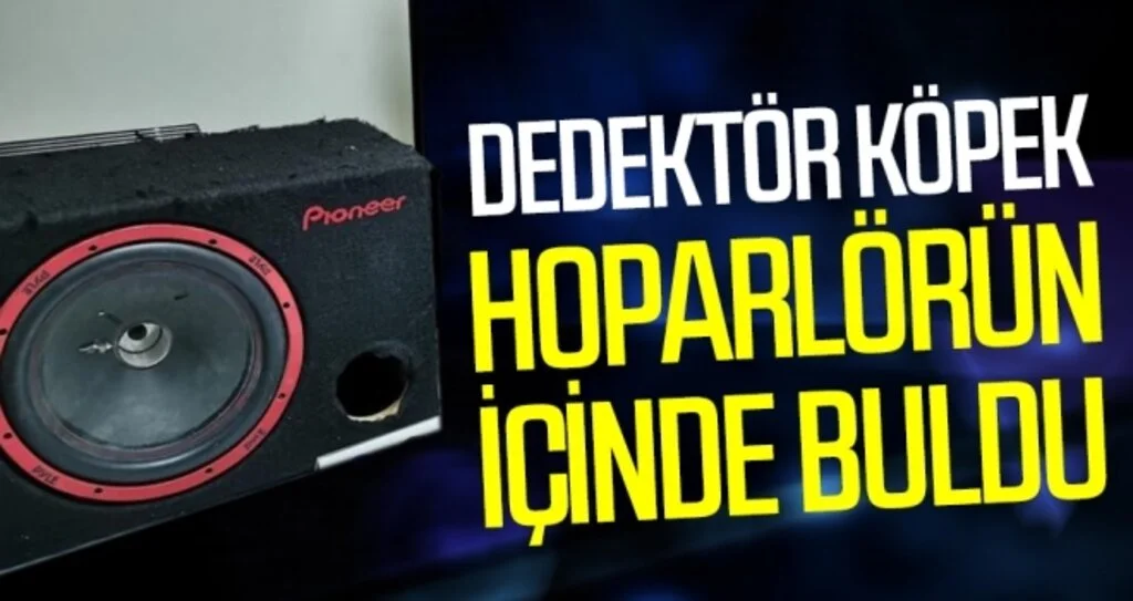 Dedektör Köpek Hoparlörün İçinde Buldu