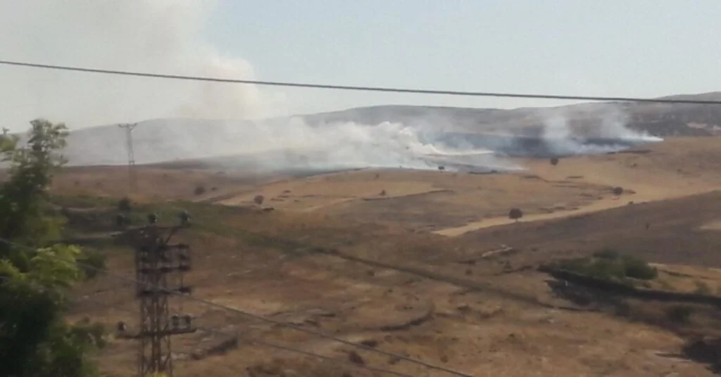 Diyarbakırda Anız Yangını