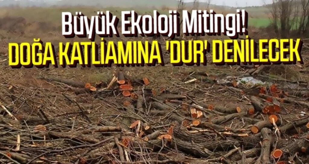 Doğa katliamına 'dur' denilecek
