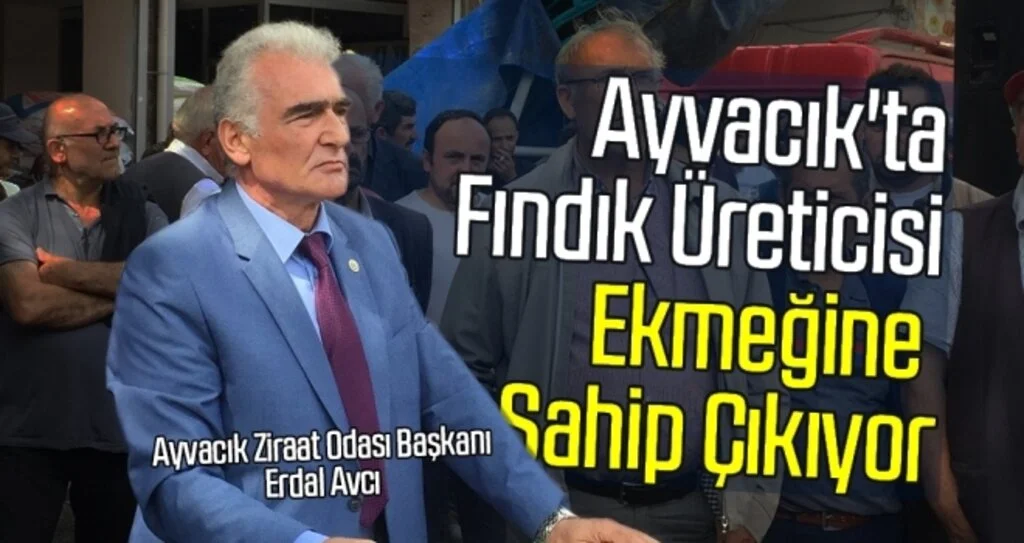 Erdal Avcı: Ayvacık'ta fındık üreticisi ekmeğine sahip çıkıyor