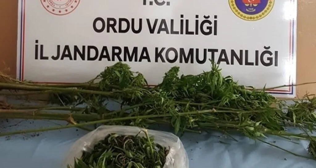 Ev ve bahçeden uyuşturucu çıktı