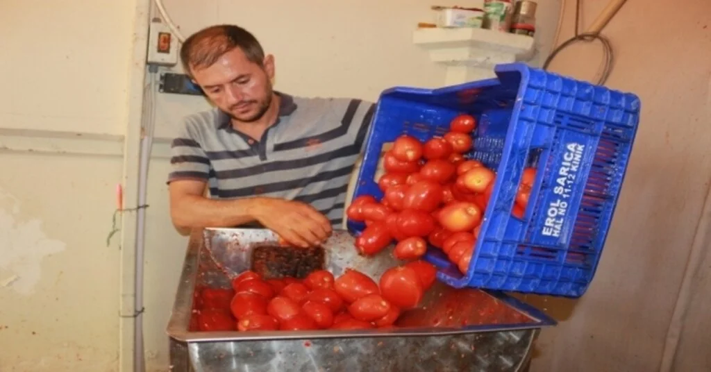 Ev Yapımı Salça Sezonu Başladı