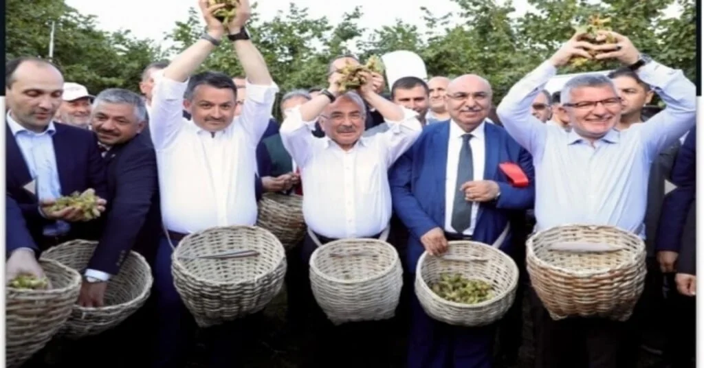 ‘Fındığın Başkenti Sloganı Tartışmaya Yol Açtı
