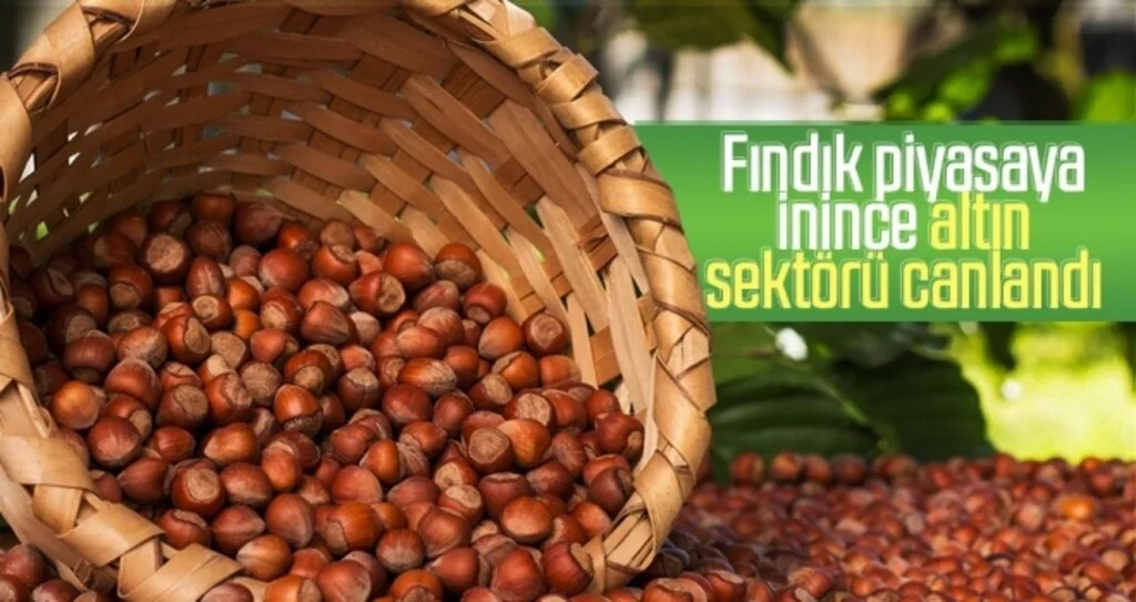 Fındık piyasaya inince altın sektörü canlandı