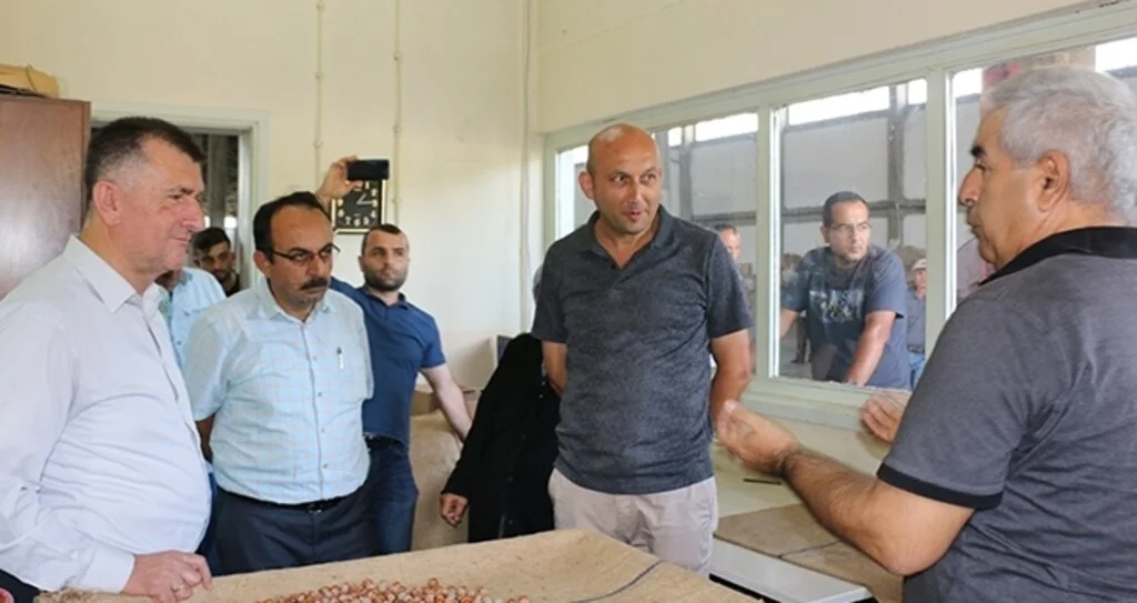 Fındık üreticisine 3 önemli uyarı