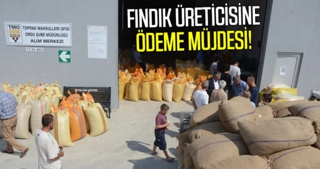 Fındık üreticisine ödeme müjdesi