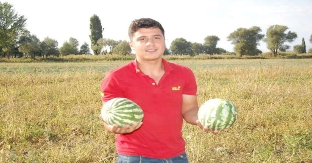 Güroymakta Yerli Karpuz Satışları Başladı