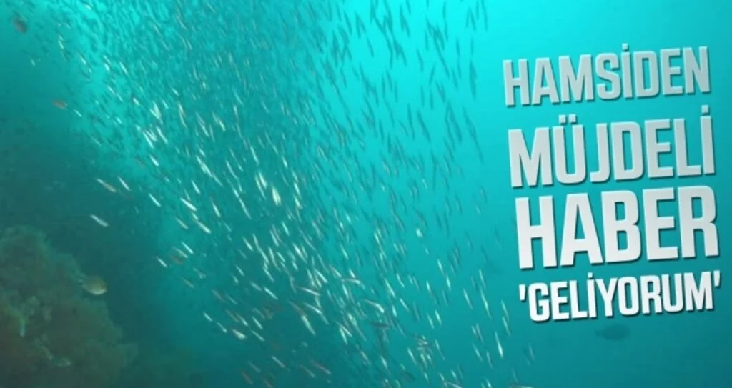 Hamsiden müjdeli haber 'geliyorum'