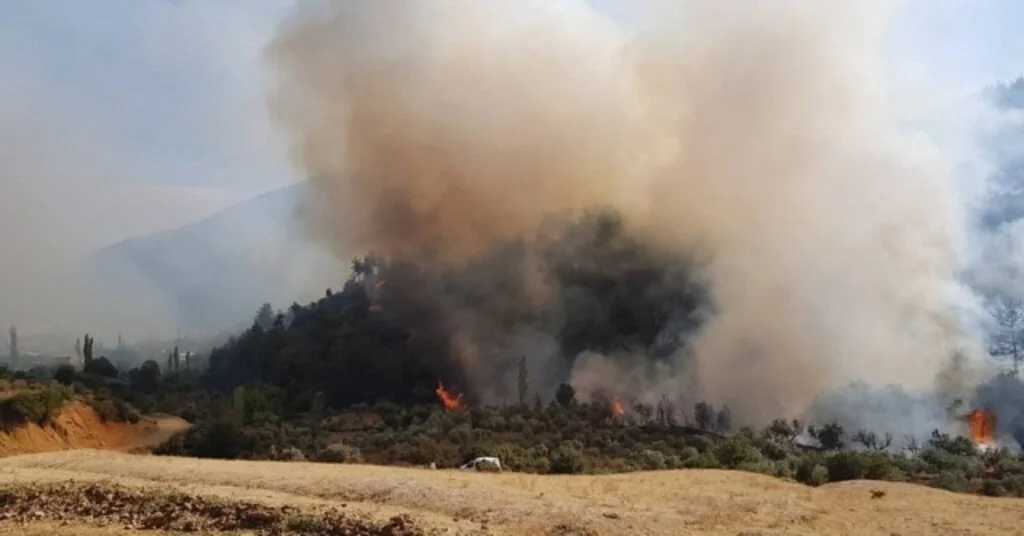Hatayda Çıkan Orman Yangını Kontrol Altına Alındı