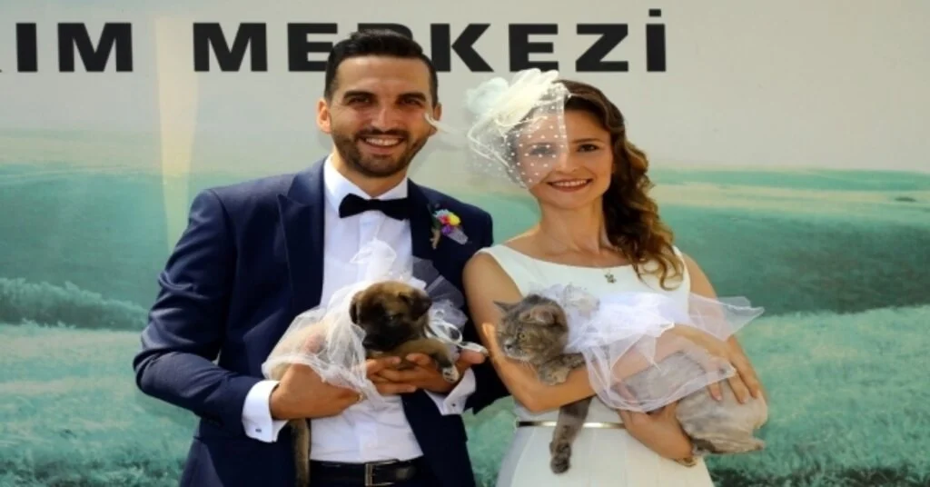 Hayvan Barınağında Evet Dediler
