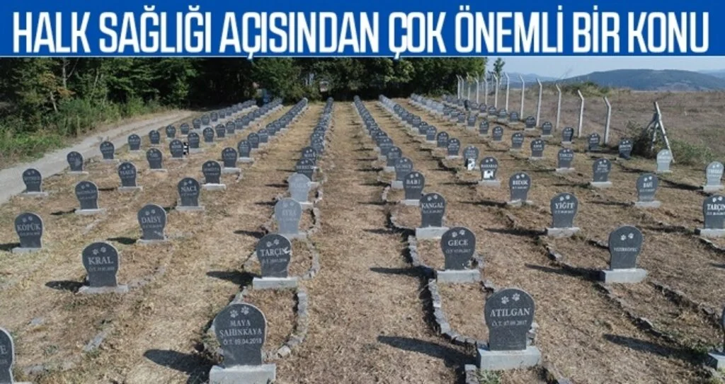 Hayvan Mezarlığı Halk Sağlığı Açısından Çok Önemli Bir Konu