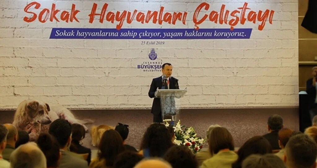 İBB'den Sokak Hayvanları Çalıştayı