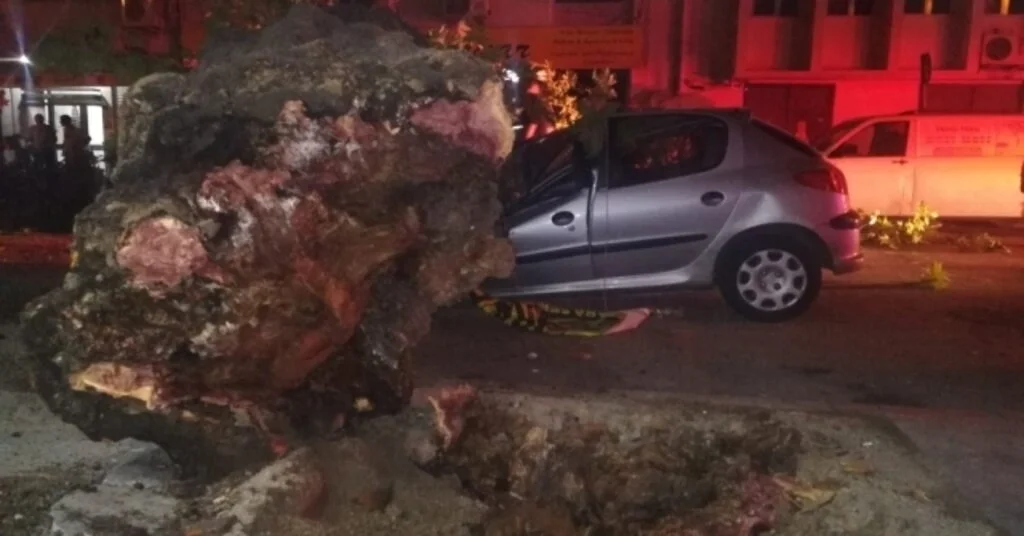 İzmirde 3 Otomobilin Üzerine Ağaç Devrildi