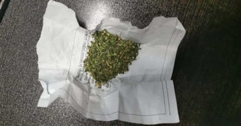 Jandarma Ekipleri Uyuşturucuya Göz Açtırmıyor