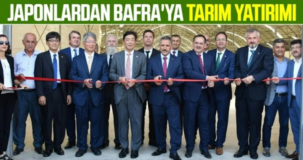 Japonlar Bafra'ya 'fide üretim tesisi' kurdu