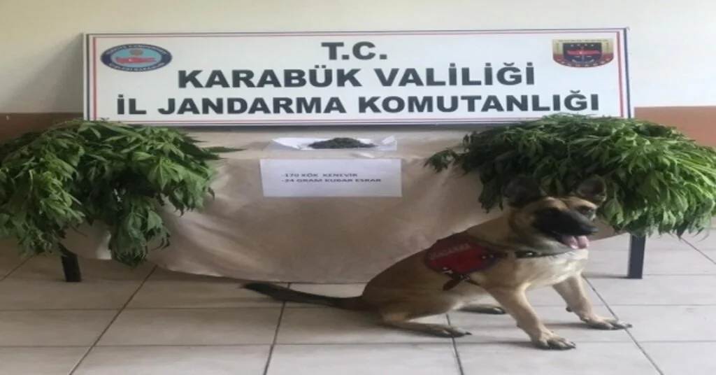 Karabükte Uyuşturucu Operasyonu
