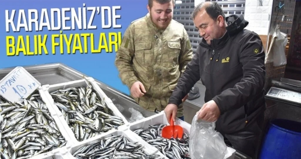 Karadeniz’de balık fiyatları