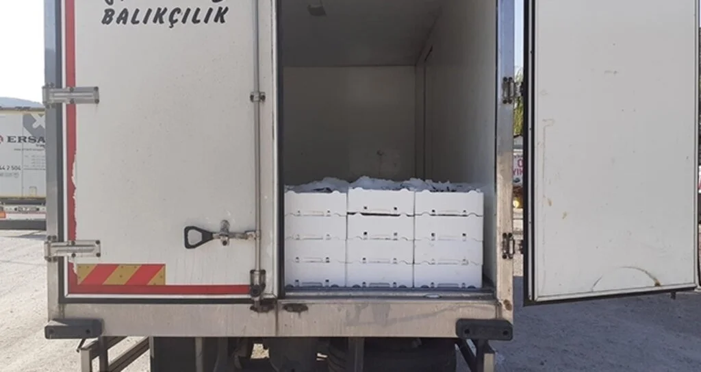 Kargı’da 2 ton kaçak balık yakalandı