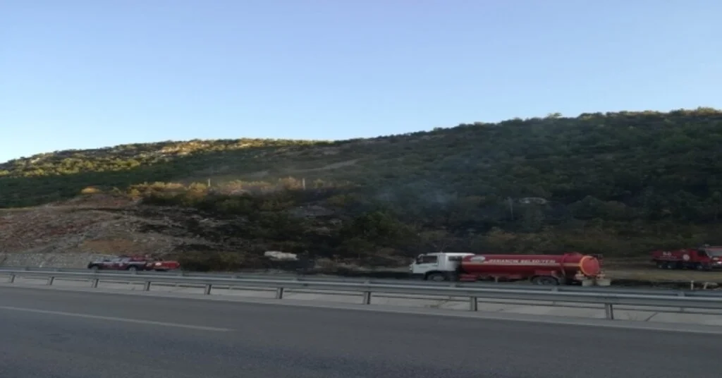 Kargıda Orman Yangını