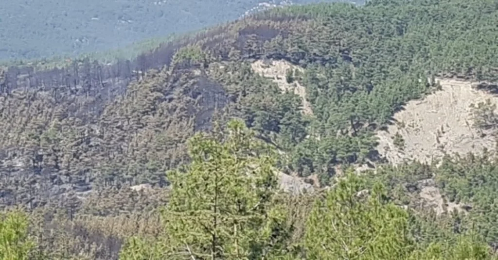 Kaşta Orman Yangını Söndürüldü