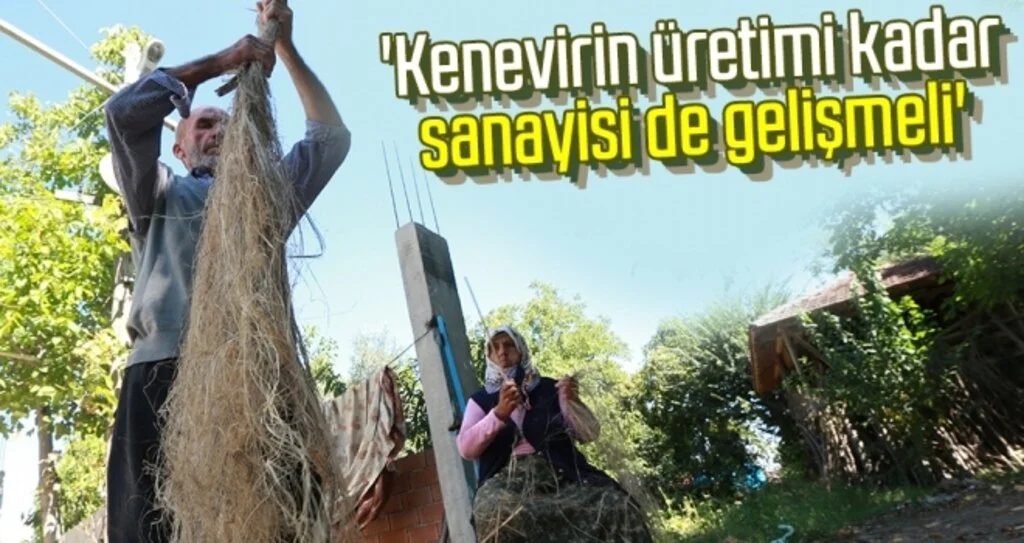 'Kenevirin üretimi kadar sanayisi de gelişmeli'