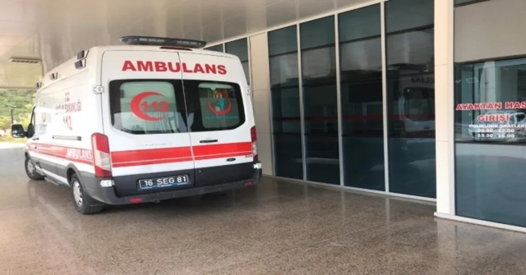 Kestiği Ağacın Dalı Canına Mal Oldu