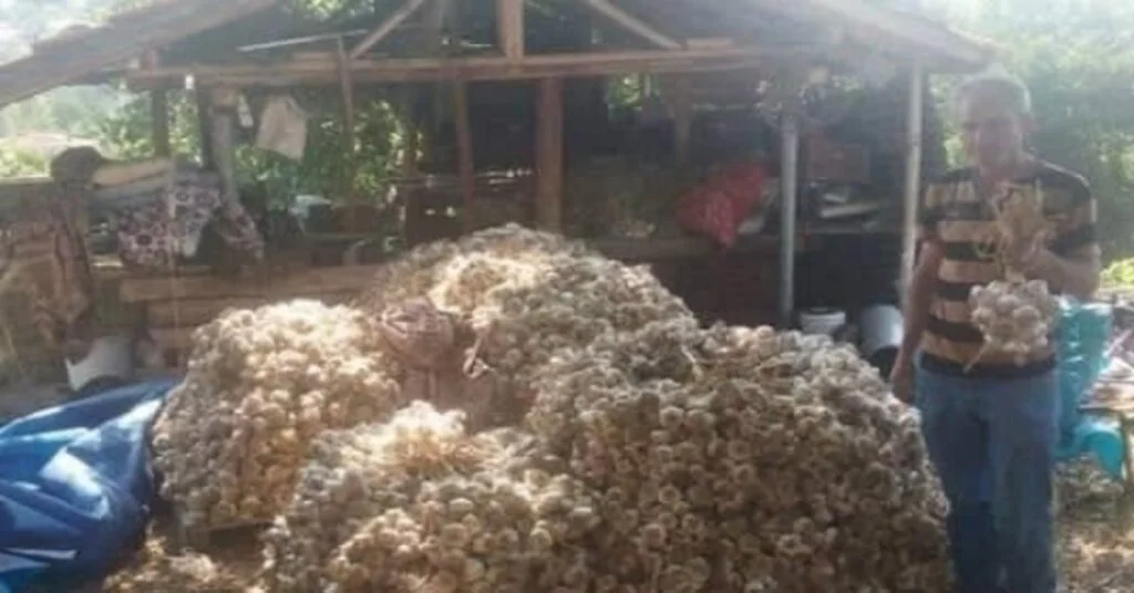 Kütahyadan Osmanlı Saraylarına Giden Şifa Kaynağı