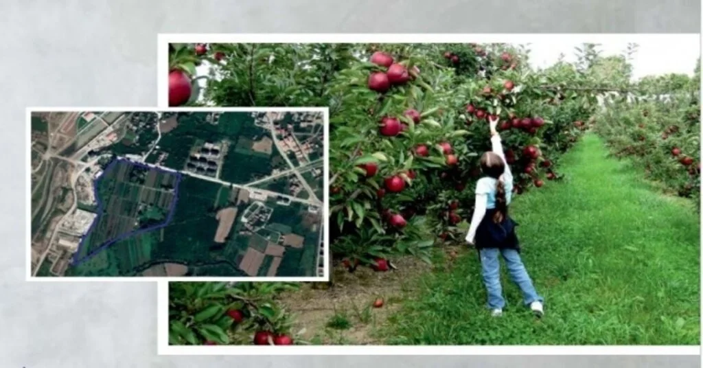 Mergiç Park Düzcenin Akciğeri Olacak