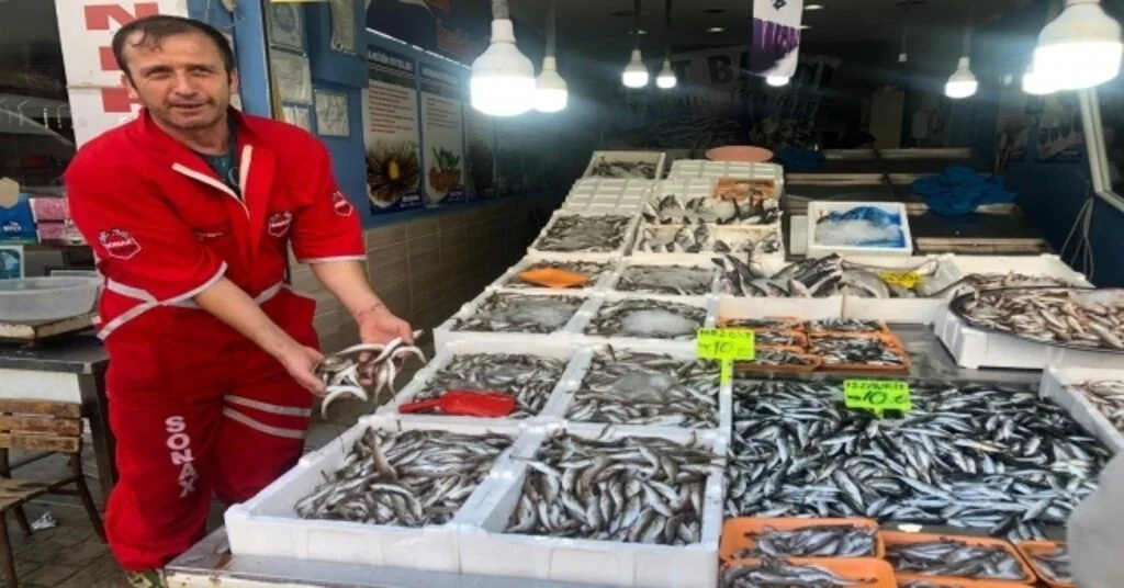 Mezgit Ve İstavrit Bolluğu Tezgahları Süsledi
