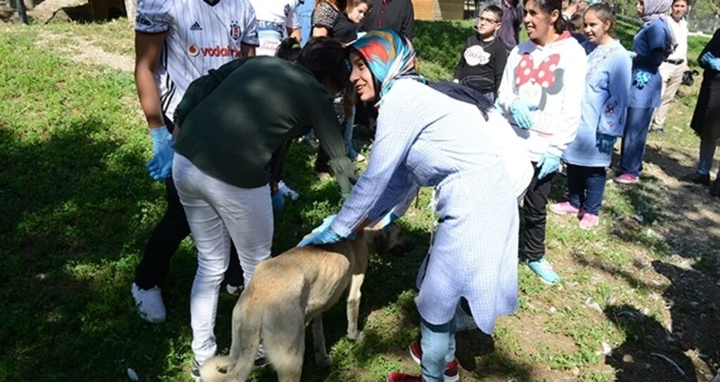 Öğrenciler belediye hayvan parkı’nı gezdi