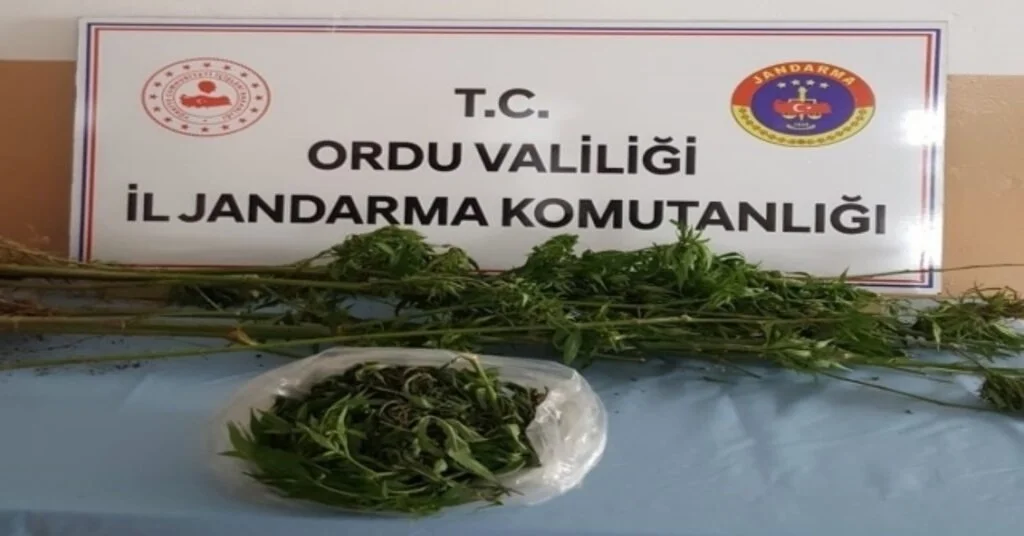 Orduda Uyuşturucuya Geçit Yok