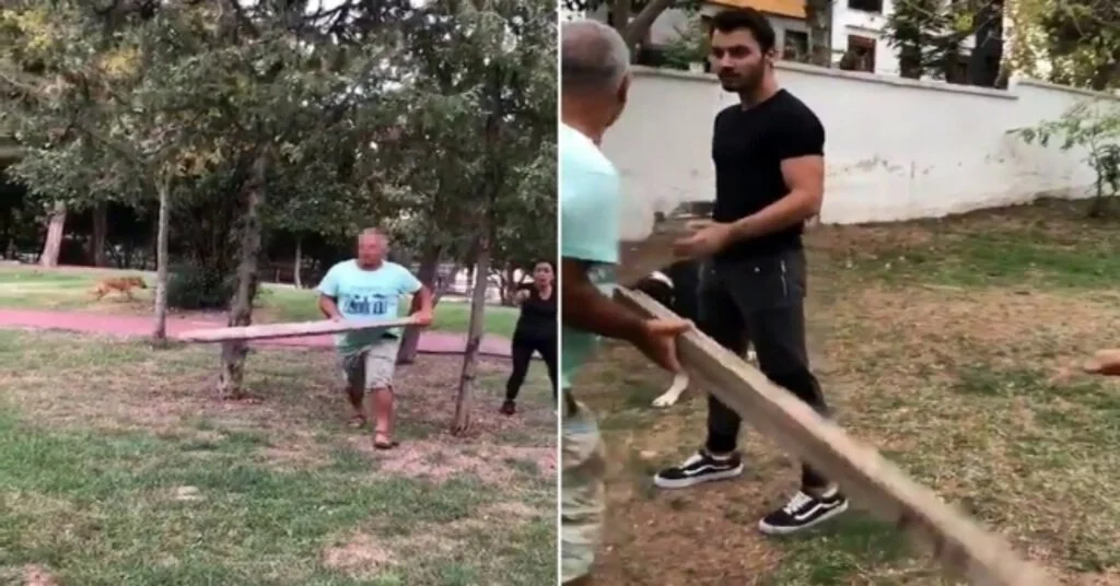 (Özel) Babasını Isırdığı İddia Edilen Sokak Köpeğine Kalasla Saldırdı