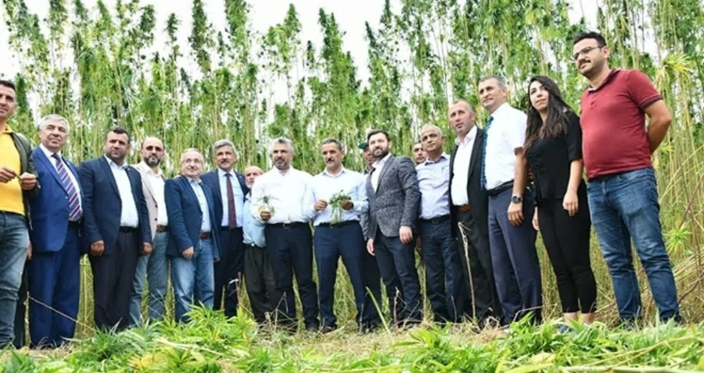 Protokol üyeleri kenevir hasadında
