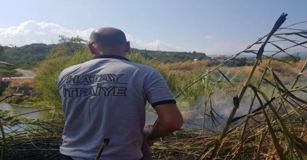 Samandağda Bitki Örtüsü Yangını