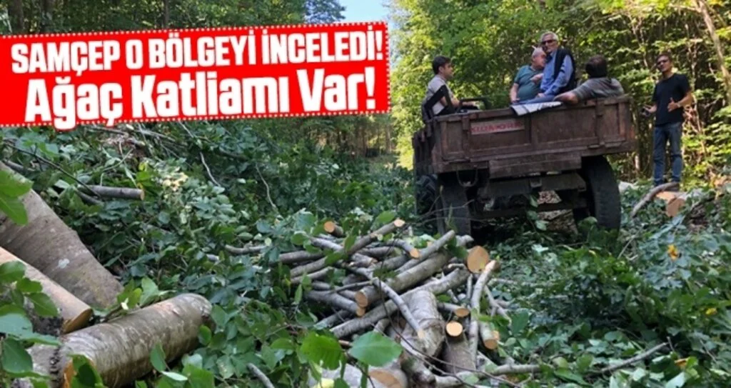 SAMÇEP'den altın madenine tepki