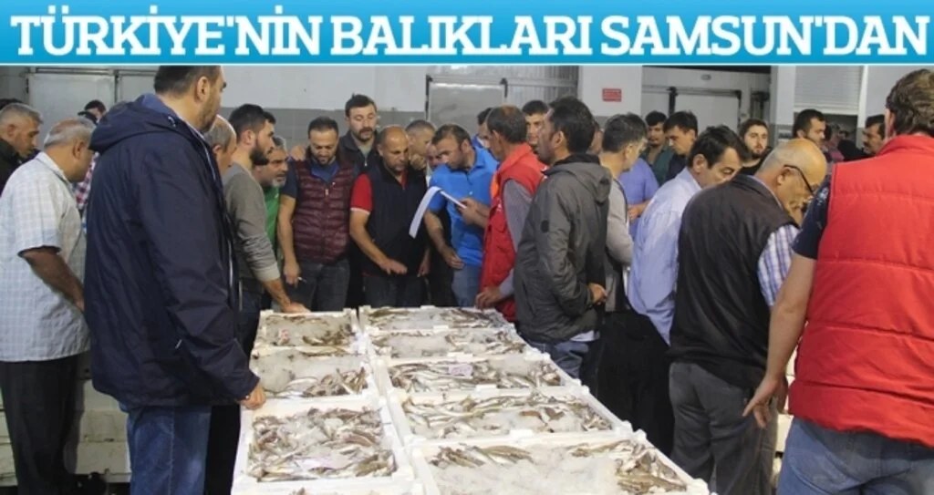 Samsun Balık Hali'nde kıran kırana pazarlık