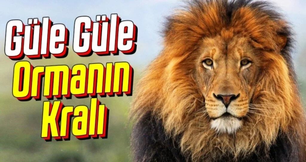 Samsun Hayvanat Bahçesi kapatıldı