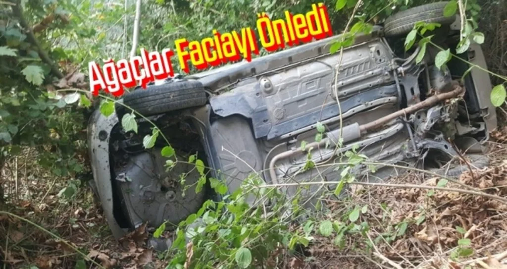 Samsun'da Ağaçlar otomobilin ırmağa uçmasını engelledi