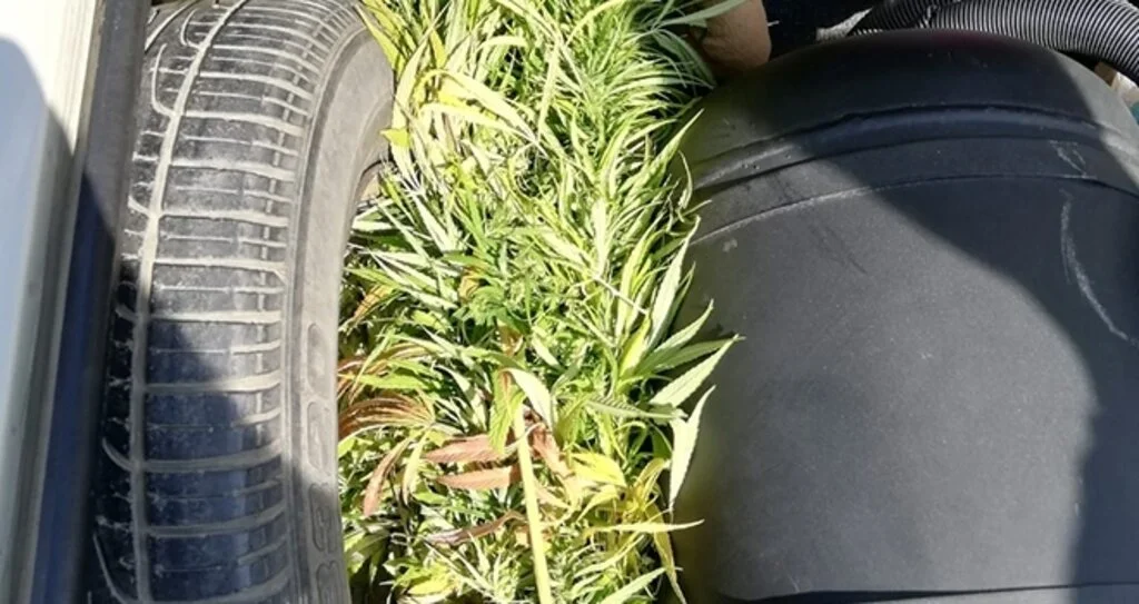 Samsun'da Aracın bagajında kubar esrar ele geçirildi