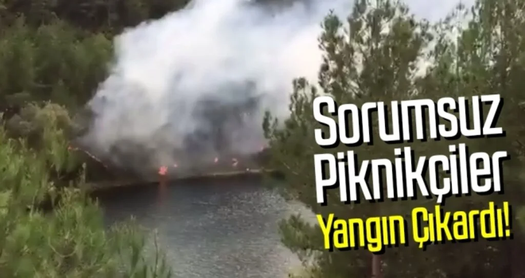 Samsun'da Sorumsuz piknikçiler yangın çıkardı