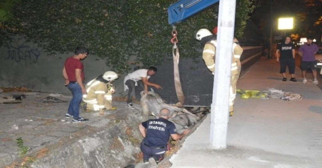 Sarıyerde Su Kanalına Düşen At İtfaiye Ekiplerinin Çalışmasıyla Kurtarıldı