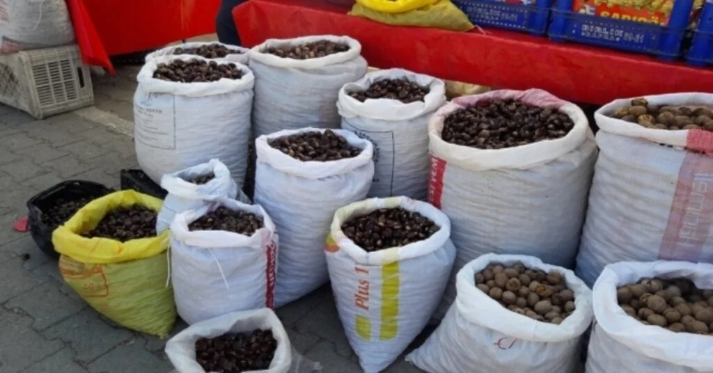 Sinopun Meşhur Erfelek Kestanesi Tezgahlarda